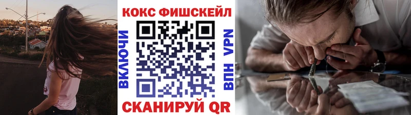 Кокаин Fish Scale  купить наркоту  Ржев 